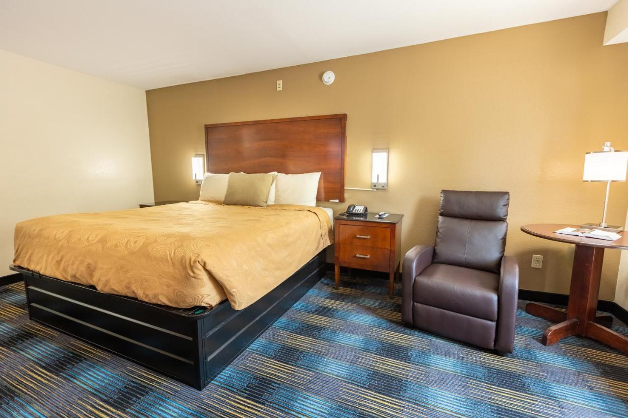 Single Room Disability Access,404467599:JPEG